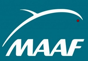 logo maaf